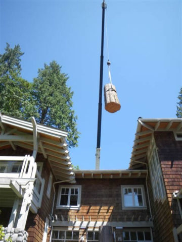 Burley Boys Tree Service, tree overgrowing house