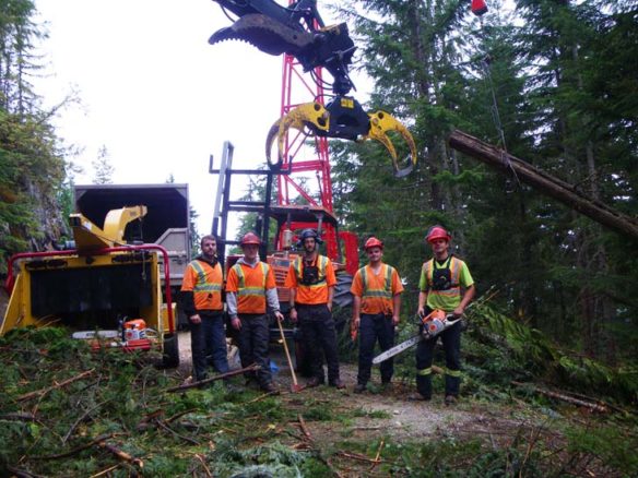 Burley Boys Tree Service, forest fuel reduction