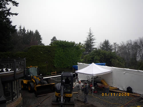 Burley Boys Tree Service, hedging